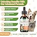 Oral Flea and Tick Support for Dogs and Cats, Natural Dog Flea and Tick Defense, Cat Flea Drops Supplements with Vitamin for Pets - All Breeds and Ages - Bacon