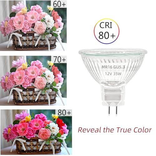 Y.W.Licht MR16 Lampadina alogena 35W Gu5.3
