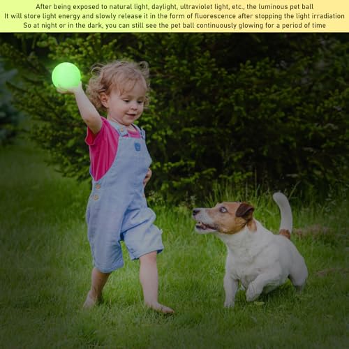 GBKDQQ 6 Stück Glow In The Dark Hundeball, 6cm Leuchtende Gummi-Hundebälle Unzerstörbar Hundeball, Hund Interaktive Hund Ball mit hoher Sprungkraft für kleine, mittlere und große Hunde
