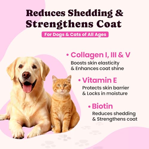 Premium Collagen for Dogs & Cats - 5 Types of Grass-Fed Collagen (I, II, III, V & X) - Tally Dog Colágeno Drops Plus MSM, Biotin & Hyaluronic Acid for Skin, Coat, Joints, Allergy & Itch Relief – 120ml #2