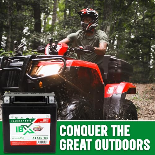Image of Interstate Batteries IBX YTX16-BS Powersports Battery 12V 14Ah 230CCA AGM