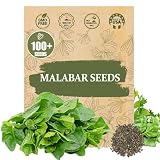Premium Malabar Spinach Seeds - 100 Heirloom, Non-GMO Seeds for Planting – Easy-to-Grow Climbing Vegetable, Fast Growing Summer Green for Garden or Patio