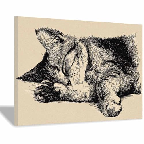 Tableau mural animal chat agile en grand format encadré Gris66