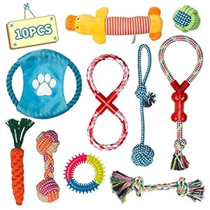 Labeol Dog Toys Puppy Toys from 8 Weeks Puppy Chew Toys Natural Cotton Interactive 10Pcs Dog Rope Toys Indestructible…
