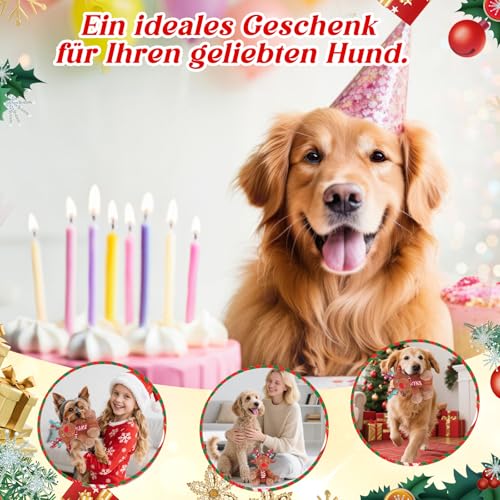 Generisch Quietschendes Hundespielzeug, Plüsch Welpenspielzeug, Robustes Interaktives Hundespielzeug für kleine und große Hunde, Langlebiges Kauspielzeug für Hunde, Gegen Langeweile