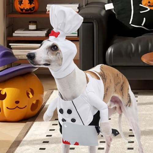 Disfraz de gato para Halloween de chef con accesorios ajustables 4