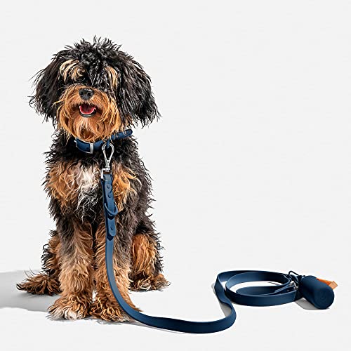 Collar Wild One azul pequeño collar ajustable impermeable perro 5