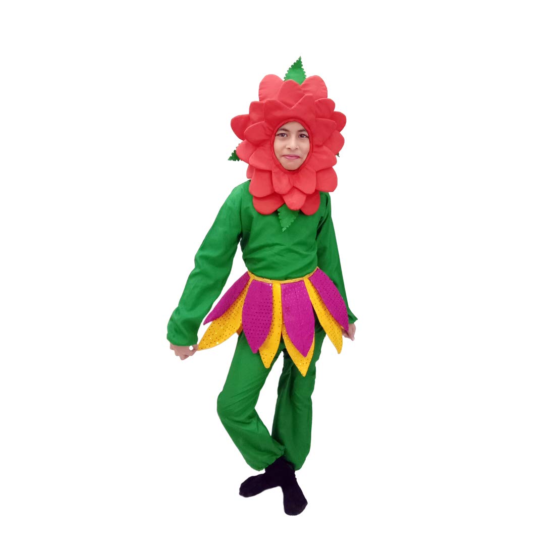 See full amazon price history chart for ITSMYCOSTUME Rose Flower Fancy Dress Costume 4-5 Years ITSMYCOSTUME Rose Flower Fancy Dress Costume 4-5 Years (B089S7ZCTV) Amazon Price History, Amazon Price Tracker