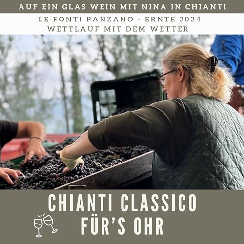 023 | Wettlauf mit dem Wetter - Ernte 2024 auf Le Fonti