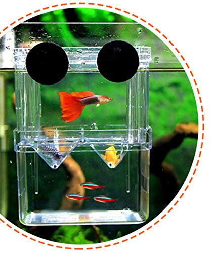 Aquarium Fish Breeding Box Hatching Incubator Isolation Box For Baby Fish Hatchery, Double Guppies Hatching Incubator Isolation Box (Middle Size) #TOP1