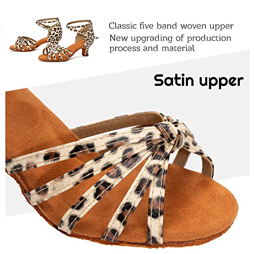 HIPPOSEUS Q-217-Leopard-5-37