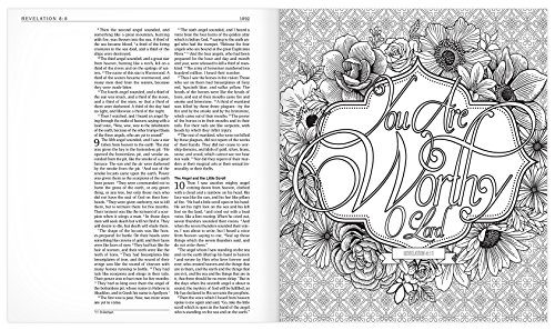 MEV Promises of God Creative Journaling Bible: Modern English Version