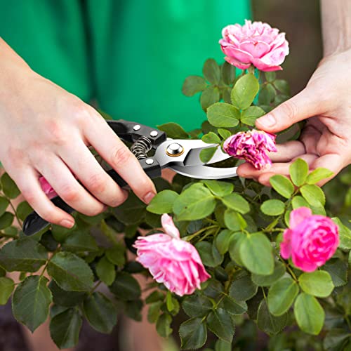 Pruning Shears, Hemoplt 8" Professional Sharp Bypass Garden Shears, Premium Garden Scissors, Stainless Steel Shears,Tree Trimmers Secateurs For Gardening, Arboriculture & Plant Nurseries #TOP5