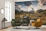 Leichte Montage ✓ Inklusive Montageanleitung: Kleister auf die zu tapezierende Wand auftragen und die passgenauen Bahnen Stoß-an-Stoß an der Wand anbringen. Keine Blasen- und Faltenbildung.