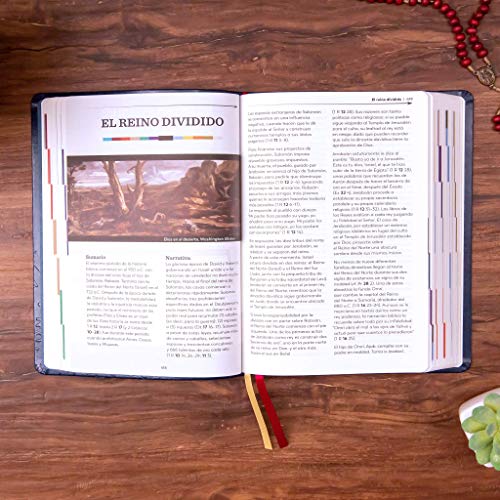 Image of Santa Biblia: The Great Adventure Catholic Bible (Spanish Edition)