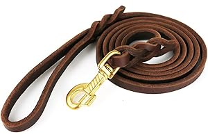 2FT Genuine Leather Dog Safety Leash: A Reliable Companion for Outdoor Adventures
