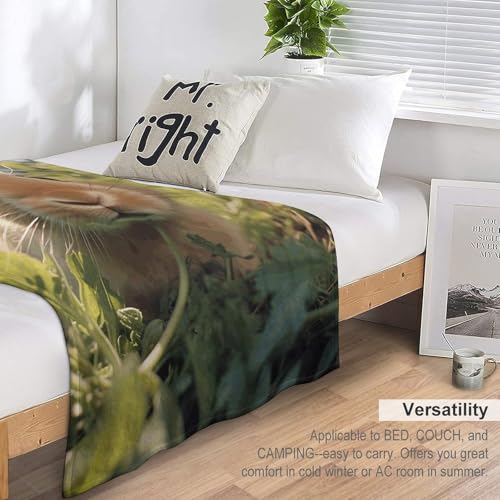 Couverture flanelle légère et douce 152cm | Plaid micro polaire toutes saisons pour canapé - 5