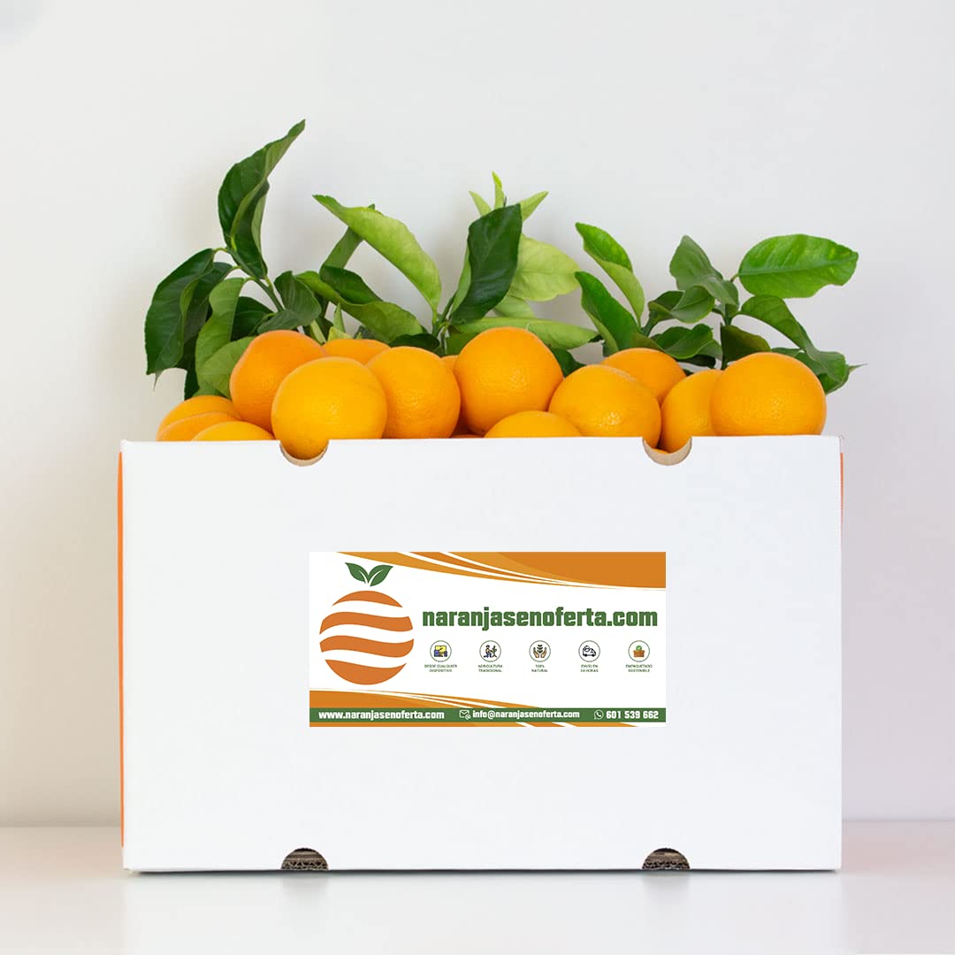 NARANJAS DE ZUMO ORIGEN VALENCIA. RECIEN RECOLECTADAS. (15KG)