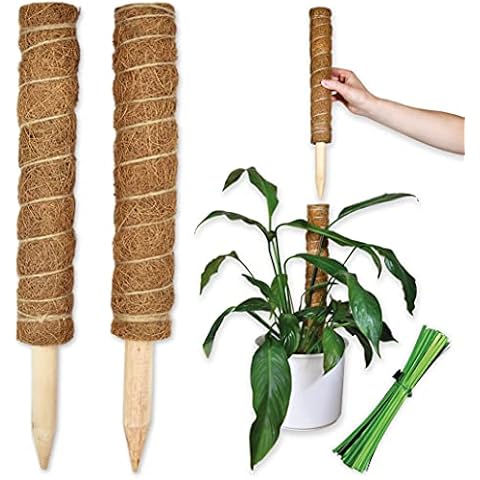 Moss Pole Plant Support Coir Totem Poles for Plants, Moss Pole for Monstera and Indoor Plants Climbing Supports for Garden Plants and Pots (2 Poles & 15 Ties) Cover