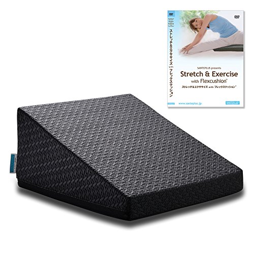 サンテプラス フレックスクッション(ブラック) & DVDセット FC-A402K-DV ブラック