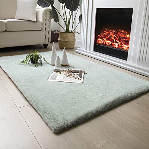 Ashler HOME DECO Ultra Soft Faux Rabbit Fur Chair Couch Cover Area Rug for Bedroom Floor Sofa Living Room Beige 2 x 3 Feet