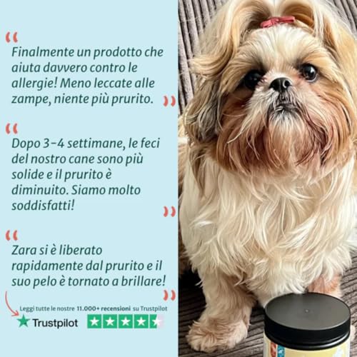 Dogsuppy Sollievo Prurito Probiotici Forte Per Cani – Ferma Prurito, Grattamento, Leccamento Delle Zampe E Mangiare L’Erba, Allevia Allergie E Lieviti, 100% Naturale, Sostiene Intestino E Immunità - 6