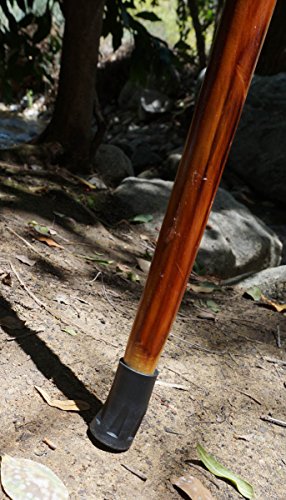 Se Survivor Series Hand Carved Flower Hiking/Walking Stick, 40" - Ws630-40 #TOP1