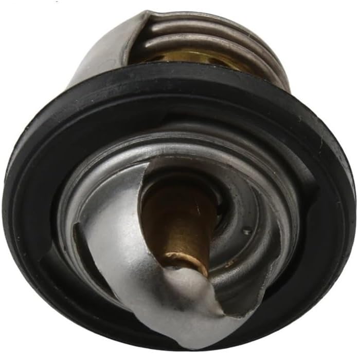 Thermo Unit Compatible V GTS GT GTV 125 GT200 GT 60