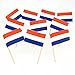 Netherlands | Holland | Dutch Flag Toothpicks (100)