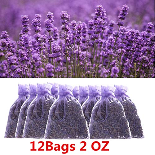 12 bolsas de sachet de lavanda natural para hogar miniatura 3
