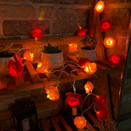 TourKing Rose Flower String Lights 19.6 Ft 40 LED Artificial Rose Garland Fairy Lights USB Charged Rose Light for Wedding Anniversary Garden Party Decor Gift for Girls (Pink+Red) - Image 3
