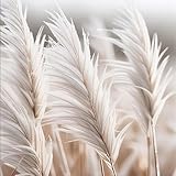 Premium-Wallart-Bild / Glasbilder 50x50 cm / quadratisches Artglasbild