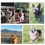 UV-Schutzbrille für Hunde; Einstellbar Hunde Sonnenbrille; Hundebrille Schützen Sie die Augen Ihres Hundes; Schutzbrille Wasserdicht Winddicht Antibeschlagbrille Augenschutz für Groß/Mittel Hund