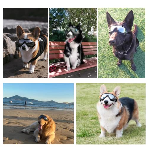UV-Schutzbrille für Hunde; Einstellbar Hunde Sonnenbrille; Hundebrille Schützen Sie die Augen Ihres Hundes; Schutzbrille Wasserdicht Winddicht Antibeschlagbrille Augenschutz für Groß/Mittel Hund
