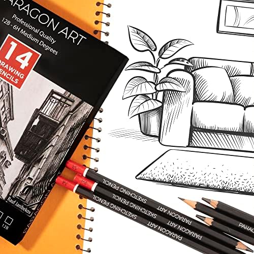 Paragon Art Professional Drawing Pencils For Artists, Drawing Set of 14PCs (12B-6H) Sketching Pencils for Illustration, Drawing & Shading, Ideal Sketch Pencils Set With Eraser Sharpener & Pencil Case