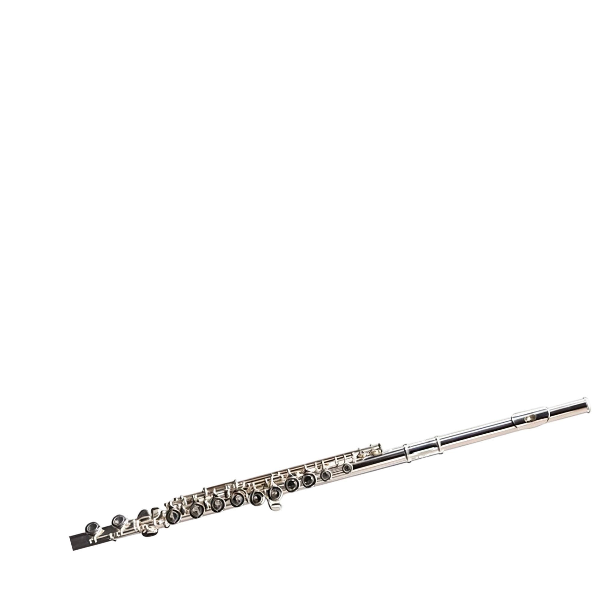 Flute Instruments Profesjonalny flet