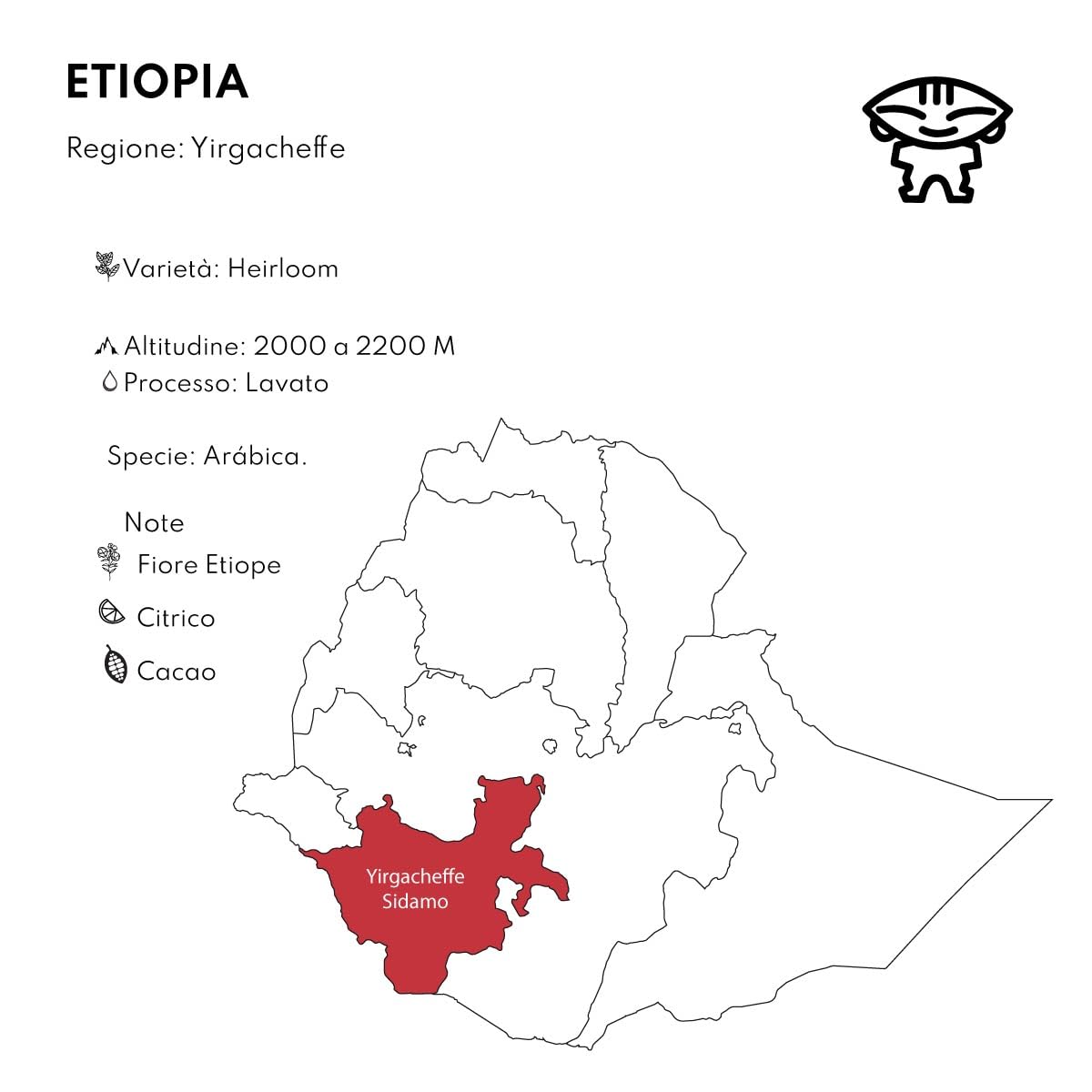 Café de especialidad en grano de Etiopia Boconó Arábica Tueste Natural 1 kg