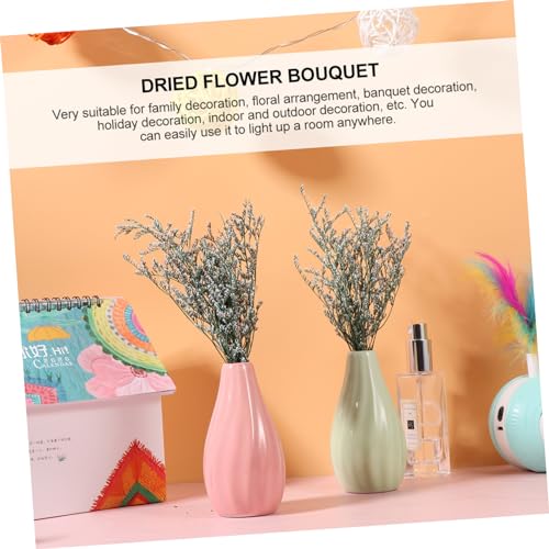 Ramo de flores secas Babysbreath para decoración miniatura 6