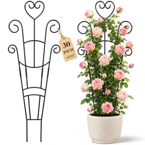 2 Pack 30'' Large Metal Plant Trellis for Climbing Plants