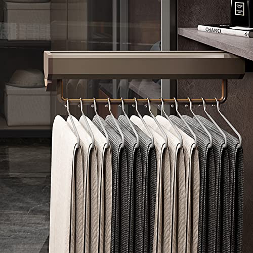 AYVADA Asta per Armadio Estraibile, Barra Appendiabiti Regolabile in Acciaio Resistente per Guardaroba, Portapantaloni Multifunzionale, Appendiabiti Rimovibile Portapantaloni con pulegge,280mm