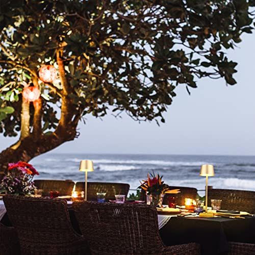 Amhshkou Rechargeable Led Cordless Table Lamps,Aluminum, Dimmable, Suitable For Indoor And Outdoor Lighting Copper Gold #TOP6