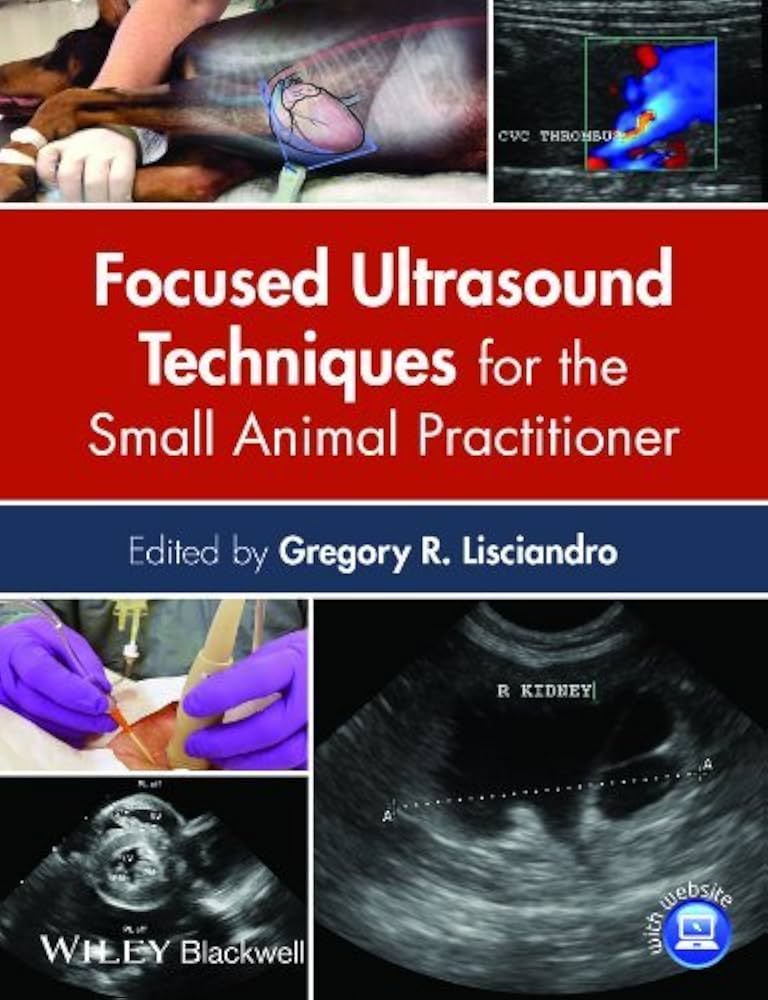 Amazon.com: Focused Ultrasound Techniques for the Small Animal