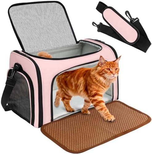 DSDCDJ Katzentransportbox, Faltbare Transportbox Katzen und Hunde mit Plüsch-Einlage und Kühlmatte aus Strohgeflecht – für alle Jahreszeiten geeignet, Ideal für Der Gang zum Tierar