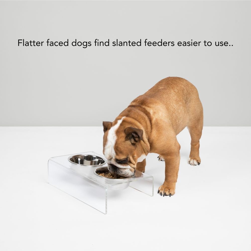 Hiddin Double Slanted Elevated Dog Bowl Stand for Medium or Large Dogs, All Breeds, Clear Acrylic 4 to 5 Inches Raised Dog Bowl Stand with Two Stainless Steel Bowls for Food and Water - 3.5 Cups Dish
