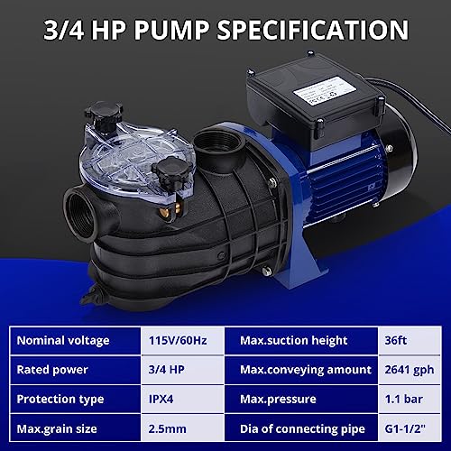 Simple Above Ground Pool Pump for Family