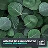 Dove-MenCare-Mens-Body-Wash-Dry-Skin-Body-Wash-with-Micromoisture-Blue-Eucalyptus-and-Birch-Effectively-Washes-Away-Bacteria-While-Nourishing-Your-Skin-18-oz-4-Count DOVE MEN + CARE Mens Body Wash Blue Eucalyptus and Birch 4 Count Dry Skin Body Wash with Micromoisture, Effectively Washes Away Bacteria While Nourishing Your Skin, 18 oz