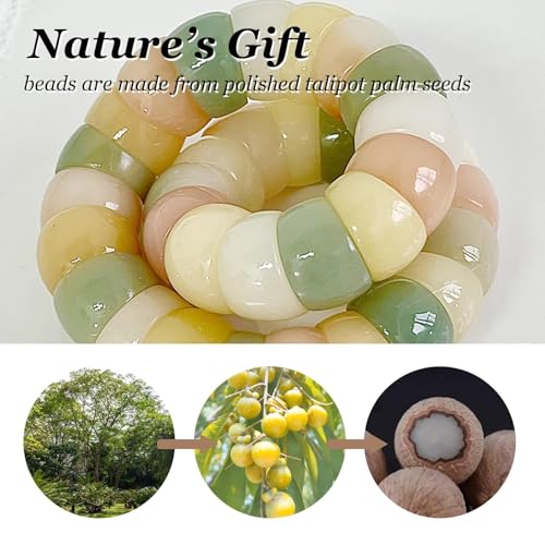 Image of Natural Bodhi Seed Bracelets Anxiety Fidget Bracelets Anxiety Relief Items Protection Healing Stretch Bodhi Fidget Bracelet for Women Men