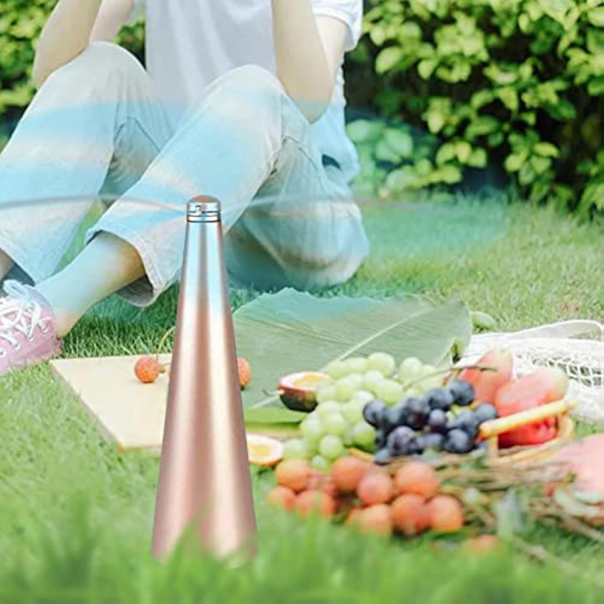 Portable Fly Fan for Outdoor Use