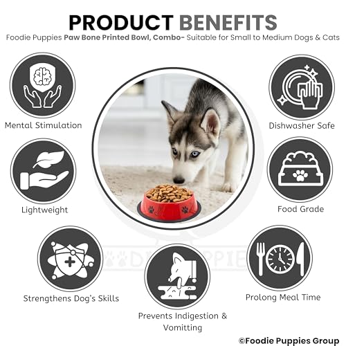 Image of Foodie Puppies Stainless Steel Dog Bowl Combo - (Medium, 700ml) Food and Water Feeding Gift Bowl | Suitable for Dogs, Cats and Other Pets I Paw Bone Print, Anti-Skid Rubber Base (Black + Red)
