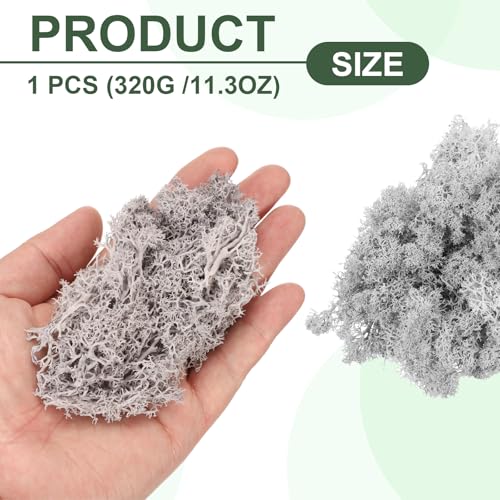 Mousse de renne préservée gris clair 320g pour plantes en pot
